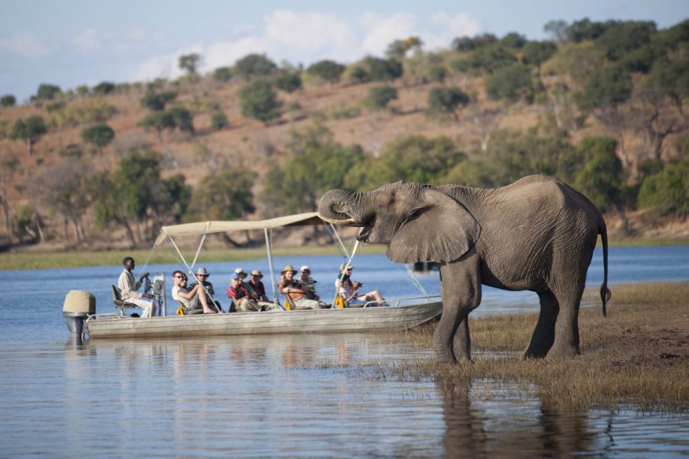 1 Day Chobe Camping Safari